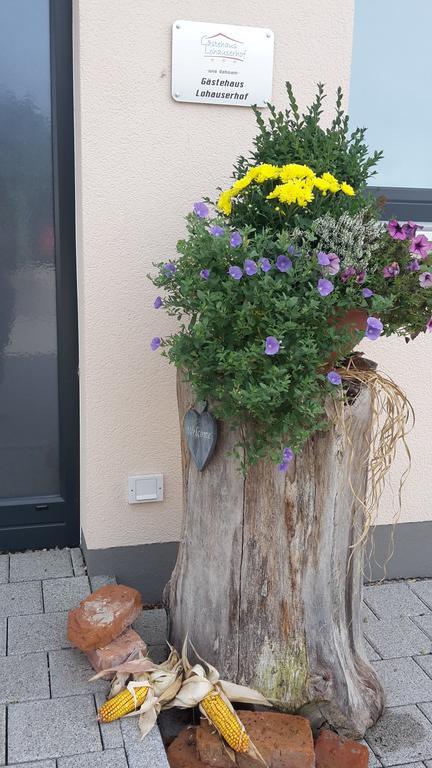 Lohauserhof - Biohof Und Hotel Rohrmoos Bagian luar foto